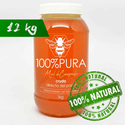 Miel de Abeja Cruda 100% Natural - Caja 12 Frascos De 1kg c/u