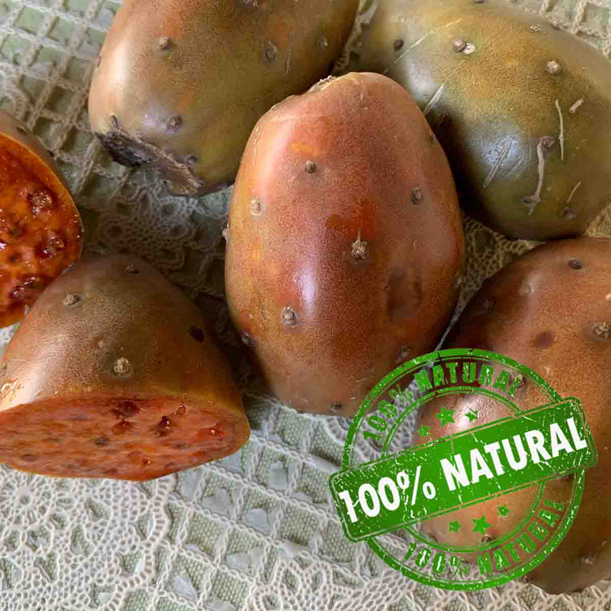 Semillas de nopal tuna amarilla (Opuntia cactus) paquete de 50