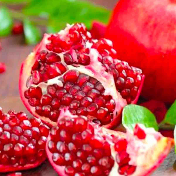Pomegranate tree seeds (Punica granatum) - 40 pieces pack