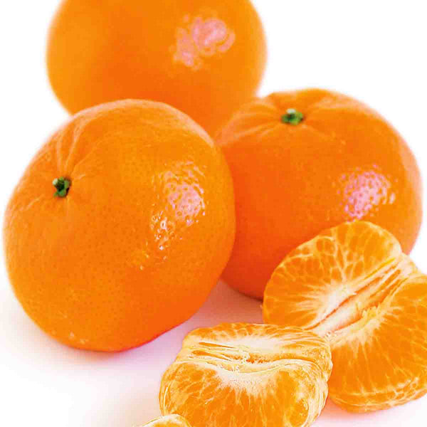 Semillas de árbol de Mandarina (Citrus reticulada) - Paquete de 20 piezas
