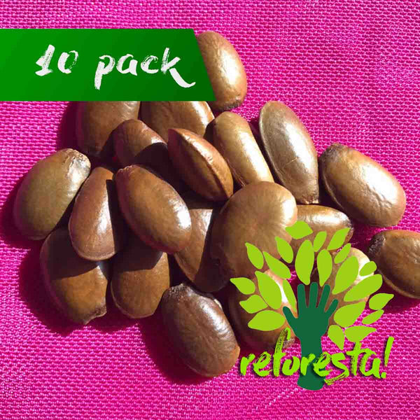 Soursop seed (Annona muricata) - package with 10 pieces