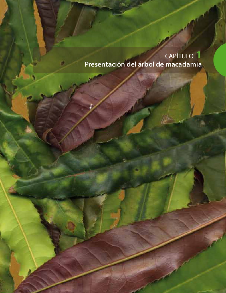 Manual técnico para productores de nuez de macadamia