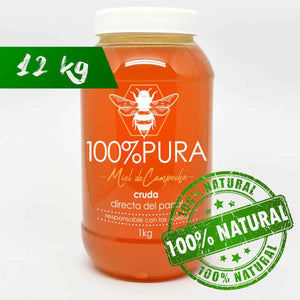 Miel de Abeja Cruda 100% Natural - Caja 12 Frascos De 1kg c/u
