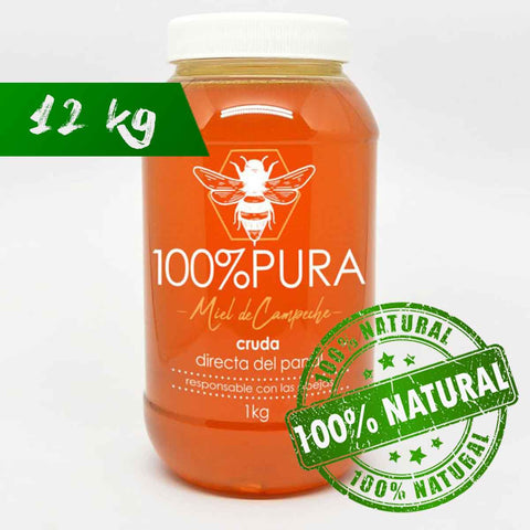 Miel de Abeja Cruda 100% Natural - Caja 12 Frascos De 1kg c/u