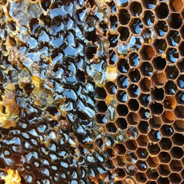 100% Natural Raw Bee Honey - 36 Bottles 1kg each