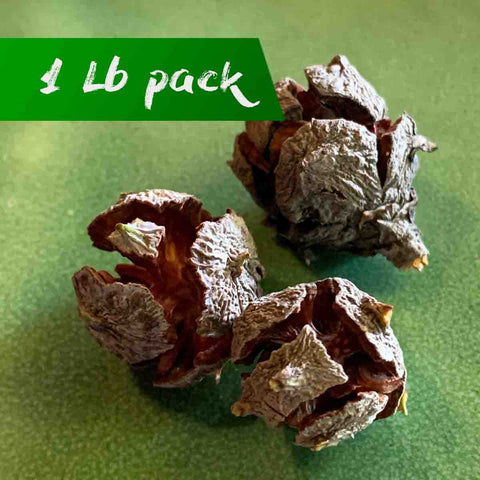 Decorative Pine Cones (White Cedar) - 1 Pound Package