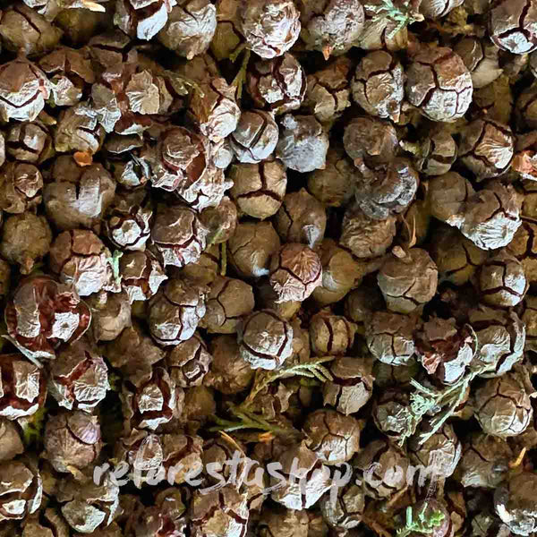 Decorative Pine Cones (White Cedar) - 1 Pound Package