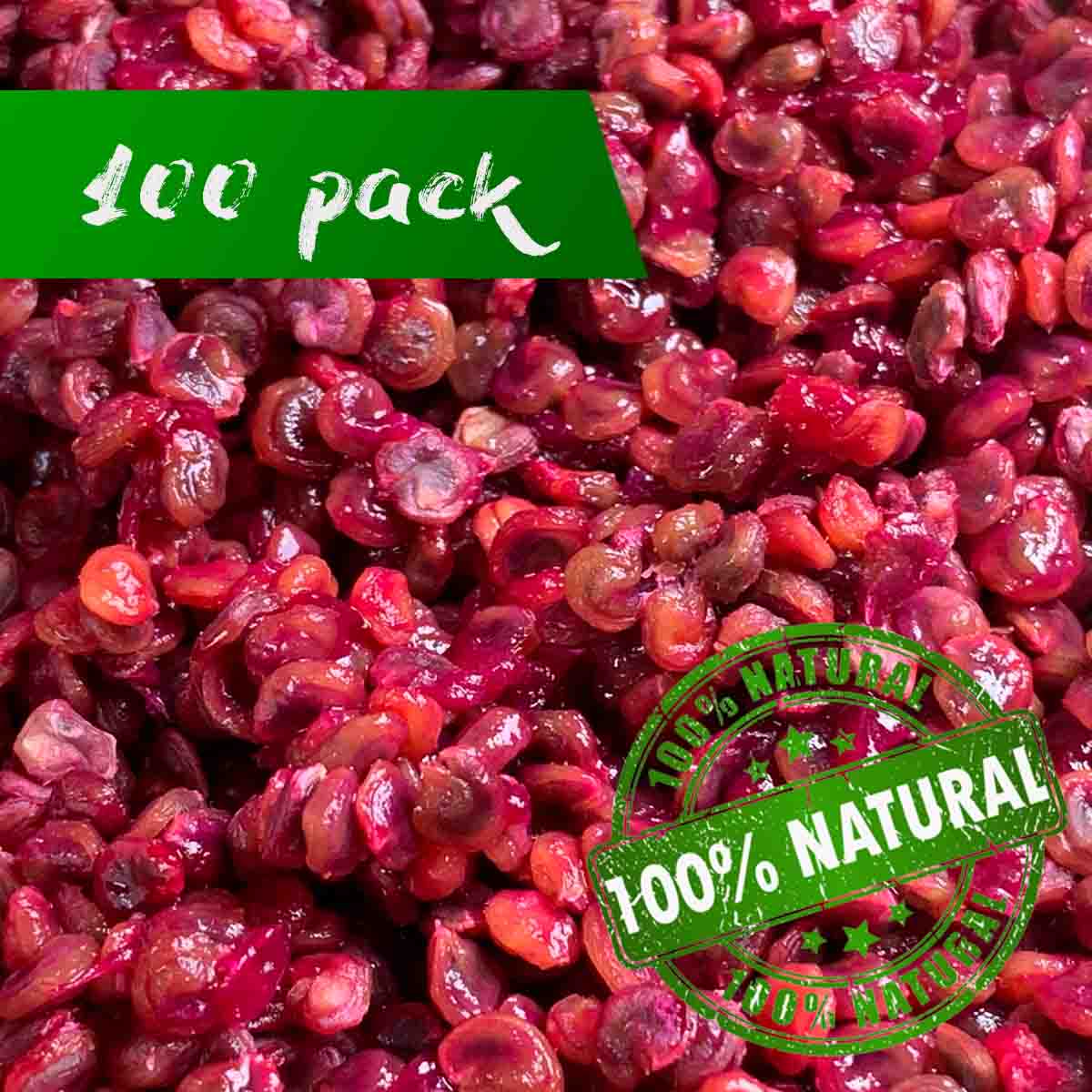 Seeds of red prickly pear nopal (Opuntia cactus) pack of 100