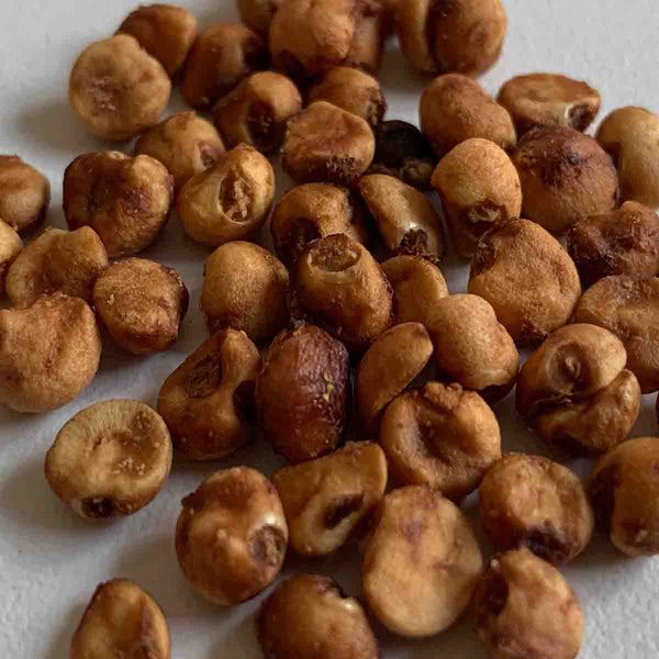 Myrtle seeds (Luma apiculata)