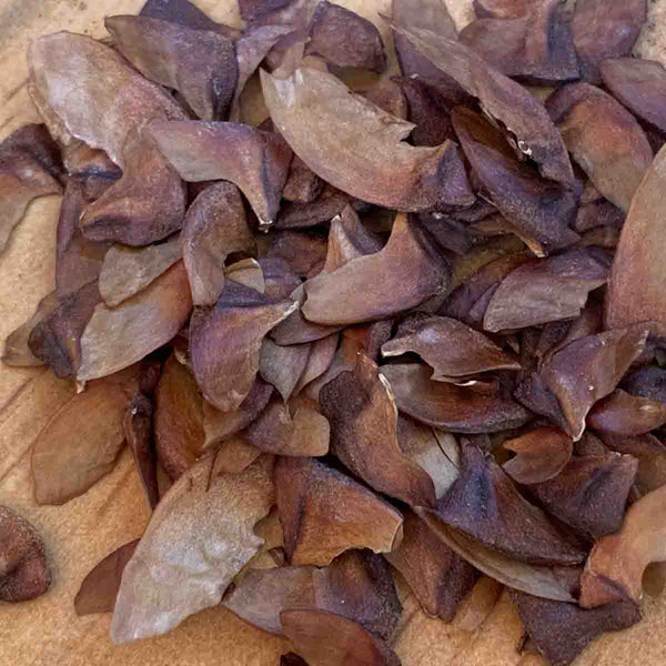 Crape Myrtle (Lagerstroemia indica) - 2oz pack