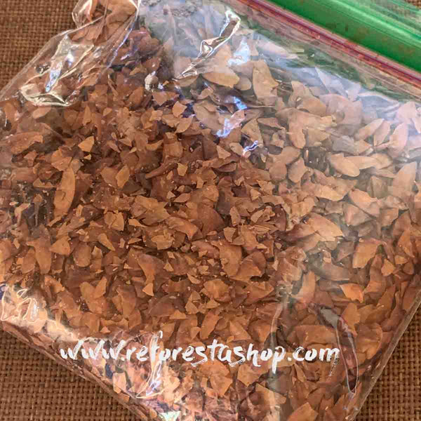 Crape Myrtle (Lagerstroemia indica) - 2oz pack