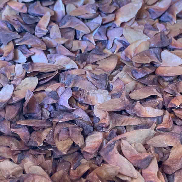 Crape Myrtle (Lagerstroemia indica) - 2oz pack