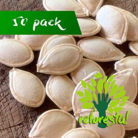 Spaghetti or Squash Pumpkin Seeds - 50 seeds pack