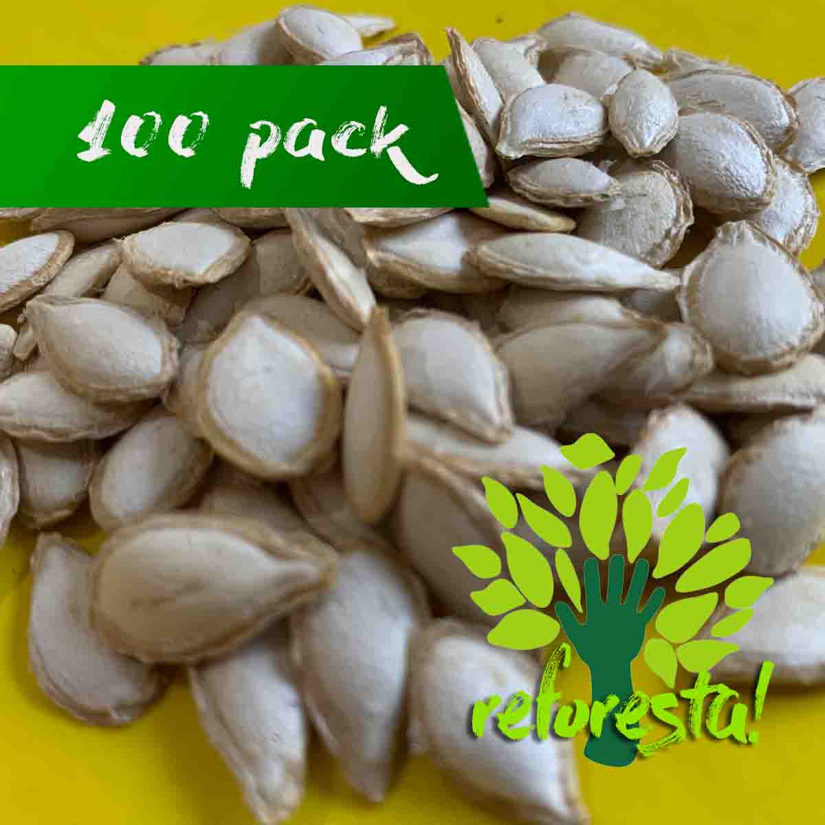 Semillas de Chihua Calabaza (Cucurbita argyrosperma) - 100 pack