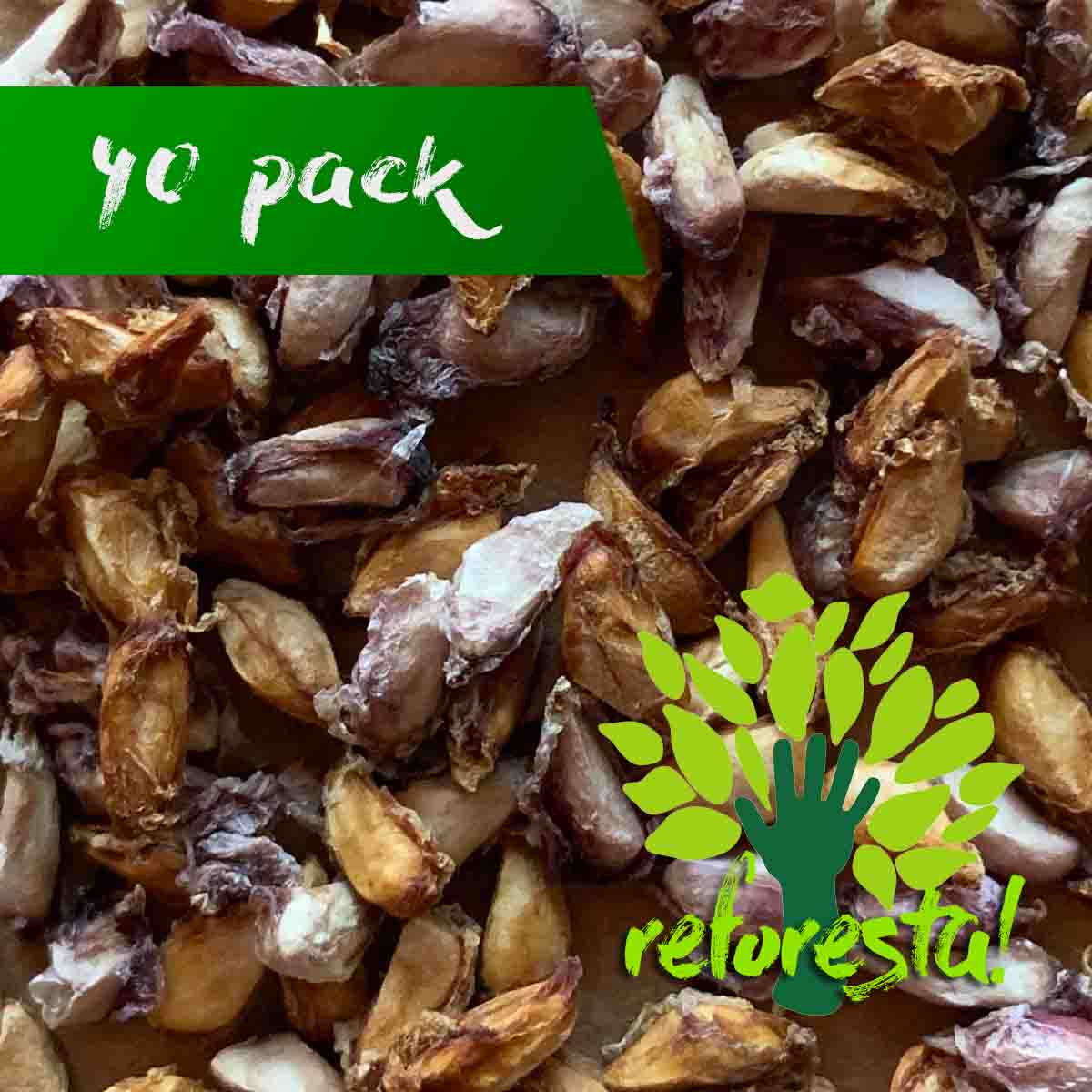Semillas de árbol de Granada (Punica granatum) - Paquete de 40 semillas