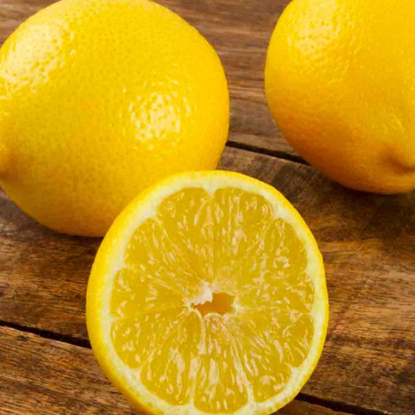 Semillas de árbol de limón Eureka - Paquete de 10 piezas