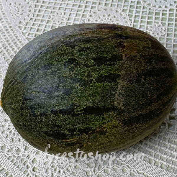Exotic Melon Seeds - Pack with 20 pieces