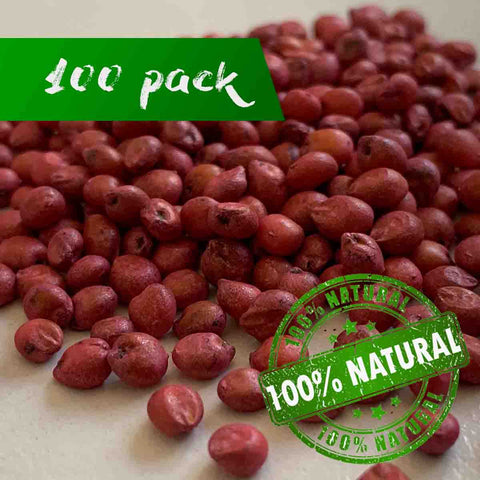 Semilla de Sorgo (Sorghum spp.) -100 seeds pack