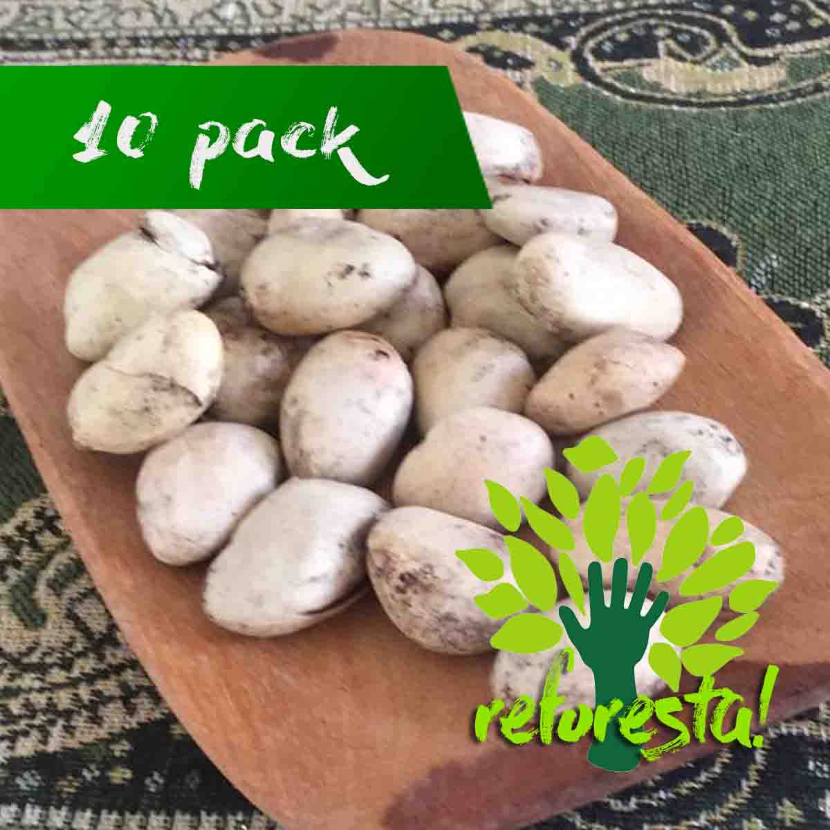 Yaka Jackfruit tree seeds (Artocarpus heterophyllus) - 10 pieces pack