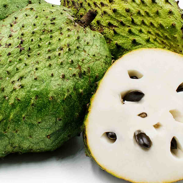 Soursop seed (Annona muricata) - package with 10 pieces